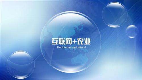 互聯網 推動農業向現代化轉型 助力鄉村振興