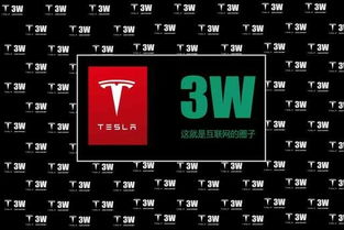 極客基因注定tesla和3w在一起
